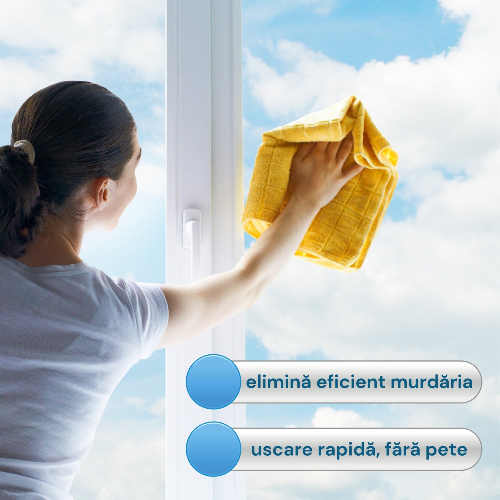 Soluție pentru geamuri, Fabi, 5L - imagine 2
